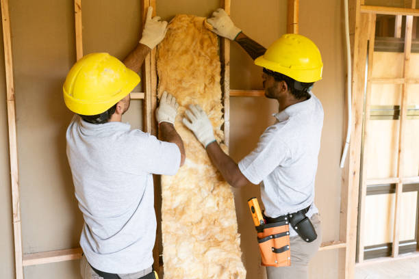 Best Blown-In Insulation  in Whitewater, WI